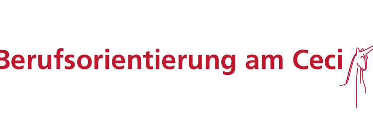 Ankündigung Berufsorientierungsabend